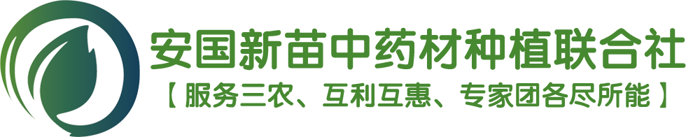 安國新苗中藥材種植農(nóng)民專業(yè)合作社