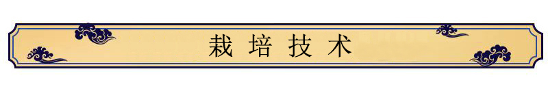 中藥材種植技術(shù)——郁李仁