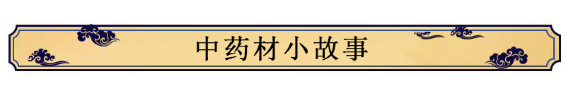 【天門冬】